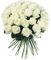 Букет из 51 белой розы